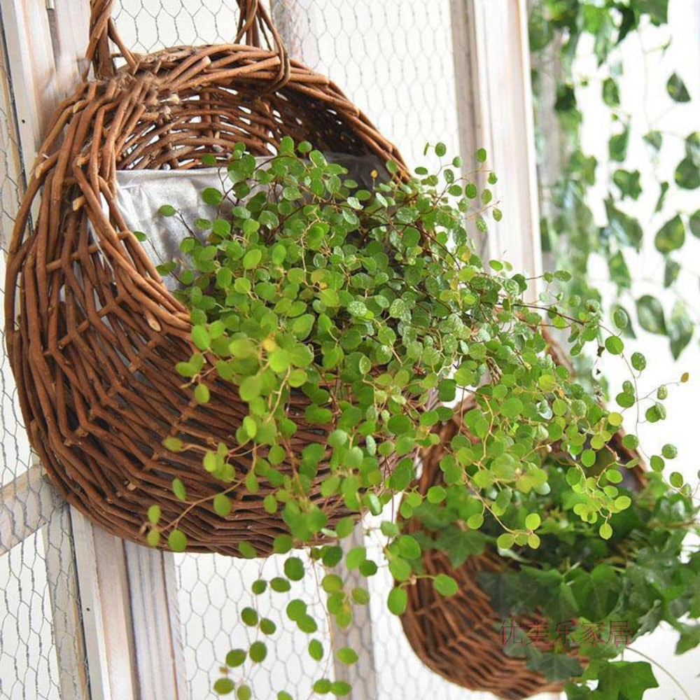Woven Wicker Hanging Basket for Storage