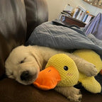Calming Duck Dog Toy, Anti-Anxiety Plush Pet Comfort