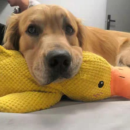Calming Duck Dog Toy, Anti-Anxiety Plush Pet Comfort