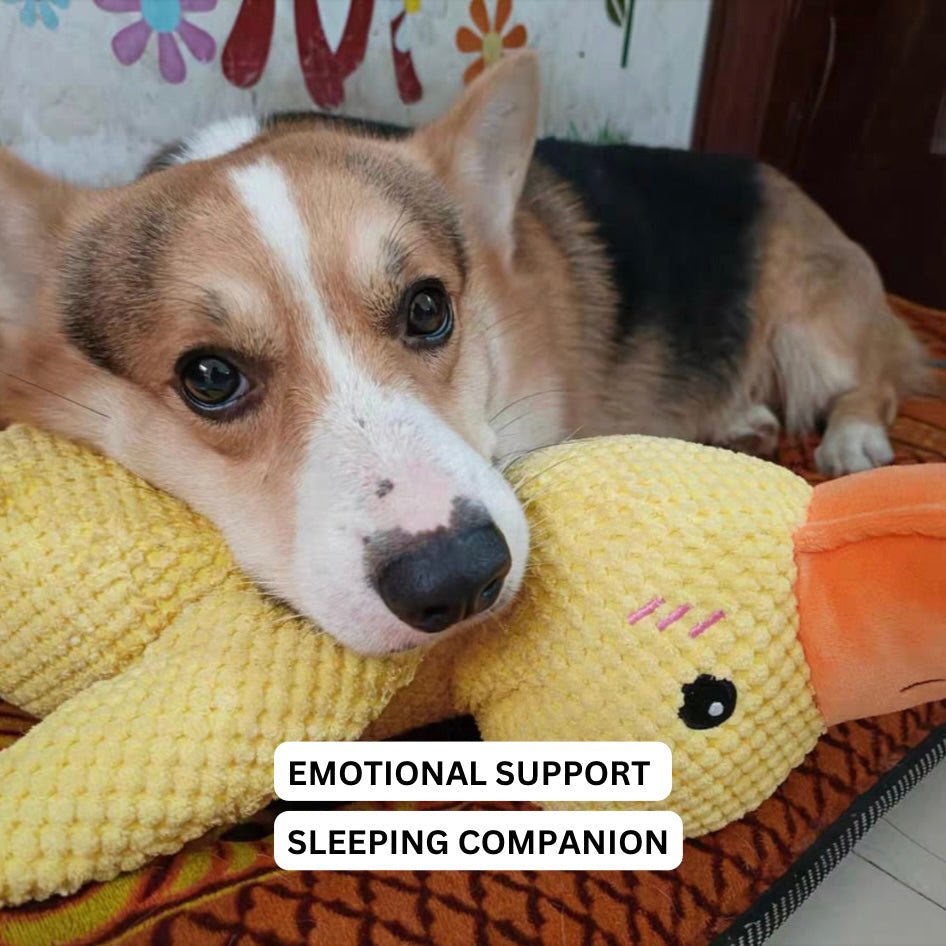 Calming Duck Dog Toy, Anti-Anxiety Plush Pet Comfort