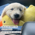 Calming Duck Dog Toy, Anti-Anxiety Plush Pet Comfort
