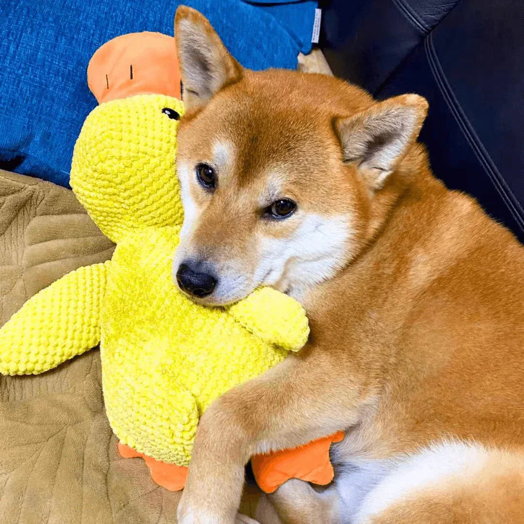 Calming Duck Dog Toy, Anti-Anxiety Plush Pet Comfort